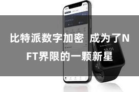 比特派数字加密 成为了NFT界限的一颗新星