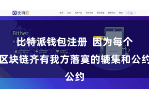比特派钱包注册 因为每个区块链齐有我方落寞的辘集和公约