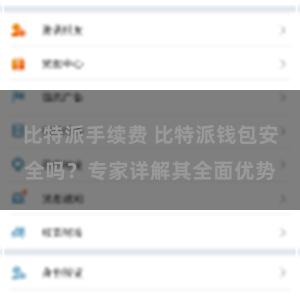 比特派手续费 比特派钱包安全吗？专家详解其全面优势