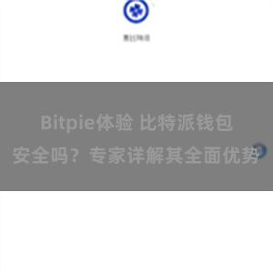 Bitpie体验 比特派钱包安全吗？专家详解其全面优势