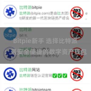 Bitpie新手 选择比特派：最安全便捷的数字资产钱包