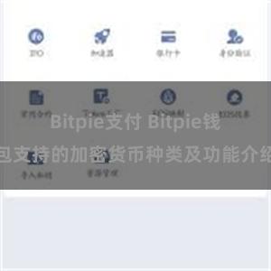 Bitpie支付 Bitpie钱包支持的加密货币种类及功能介绍