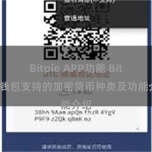 Bitpie APP功能 Bitpie钱包支持的加密货币种类及功能介绍