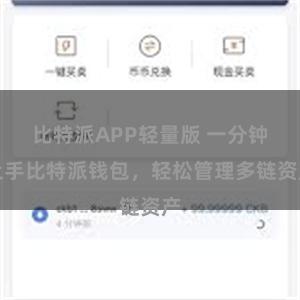 比特派APP轻量版 一分钟上手比特派钱包，轻松管理多链资产