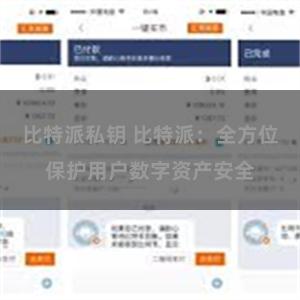 比特派私钥 比特派：全方位保护用户数字资产安全