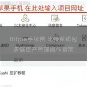 Bitpie手续费 比特派钱包多链资产管理操作指南