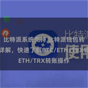 比特派系统支持 比特派钱包转账教程详解，快速了解BTC/ETH/TRX转账操作