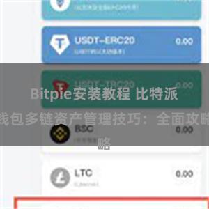 Bitpie安装教程 比特派钱包多链资产管理技巧：全面攻略