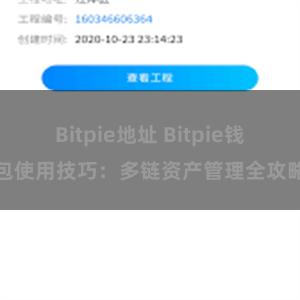 Bitpie地址 Bitpie钱包使用技巧：多链资产管理全攻略