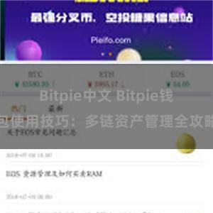 Bitpie中文 Bitpie钱包使用技巧：多链资产管理全攻略