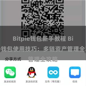 Bitpie钱包新手教程 Bitpie钱包使用技巧：多链资产管理全攻略