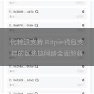 比特派支持 Bitpie钱包支持的区块链网络全面解析