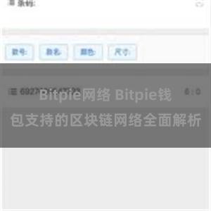 Bitpie网络 Bitpie钱包支持的区块链网络全面解析