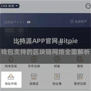 比特派APP官网 Bitpie钱包支持的区块链网络全面解析