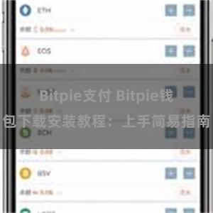 Bitpie支付 Bitpie钱包下载安装教程：上手简易指南