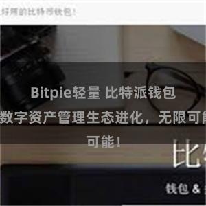 Bitpie轻量 比特派钱包：数字资产管理生态进化，无限可能！