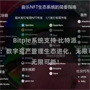 Bitpie系统支持 比特派钱包：数字资产管理生态进化，无限可能！