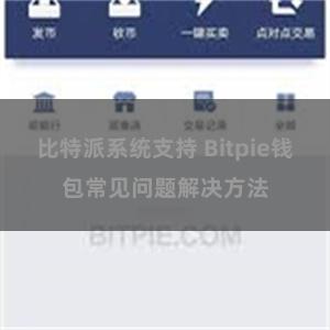 比特派系统支持 Bitpie钱包常见问题解决方法