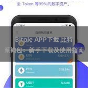 Bitpie APP下载 比特派钱包：新手下载及使用指南