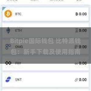 Bitpie国际钱包 比特派钱包：新手下载及使用指南