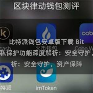 比特派钱包安卓版下载 Bitpie钱包隐私保护功能深度解析：安全守护，资产保障