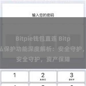 Bitpie钱包直连 Bitpie钱包隐私保护功能深度解析：安全守护，资产保障