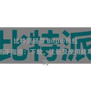 比特派轻量 Bitpie钱包新手指南：下载、注册及使用技巧