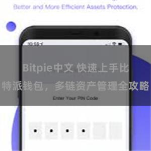 Bitpie中文 快速上手比特派钱包，多链资产管理全攻略