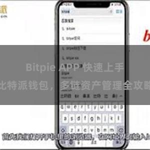 Bitpie APP 快速上手比特派钱包，多链资产管理全攻略