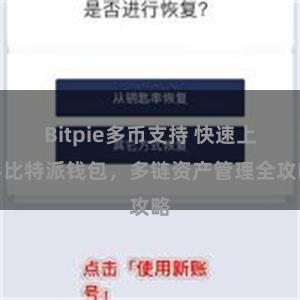 Bitpie多币支持 快速上手比特派钱包，多链资产管理全攻略