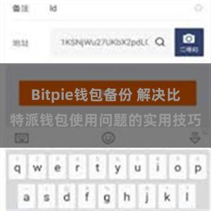 Bitpie钱包备份 解决比特派钱包使用问题的实用技巧