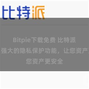 Bitpie下载免费 比特派钱包：强大的隐私保护功能，让您资产更安全