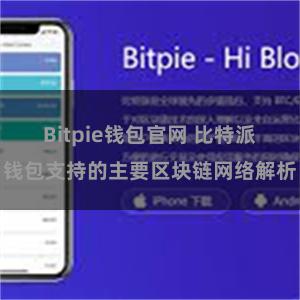 Bitpie钱包官网 比特派钱包支持的主要区块链网络解析