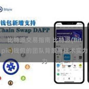 比特派交易指南 比特派(Bitpie)钱包的团队背景与技术实力