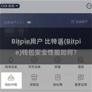 Bitpie用户 比特派(Bitpie)钱包安全性能如何？