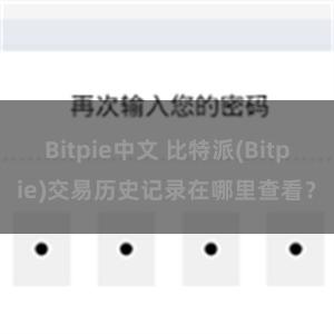 Bitpie中文 比特派(Bitpie)交易历史记录在哪里查看？