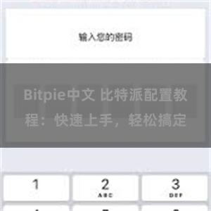 Bitpie中文 比特派配置教程：快速上手，轻松搞定