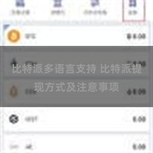 比特派多语言支持 比特派提现方式及注意事项