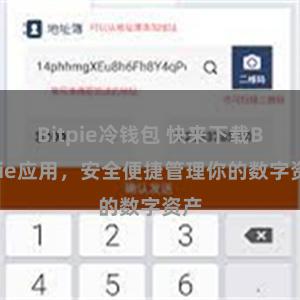 Bitpie冷钱包 快来下载Bitpie应用，安全便捷管理你的数字资产