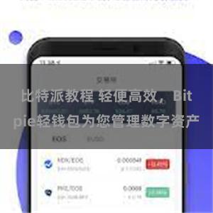 比特派教程 轻便高效，Bitpie轻钱包为您管理数字资产