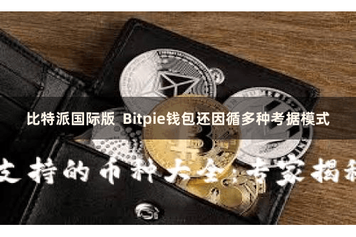 比特派国际版  Bitpie钱包还因循多种考据模式