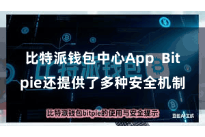 比特派钱包中心App  Bitpie还提供了多种安全机制