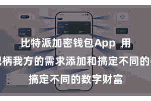 比特派加密钱包App  用户不错把柄我方的需求添加和搞定不同的数字财富