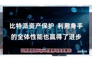 比特派资产保护  利用身手的全体性能也赢得了进步