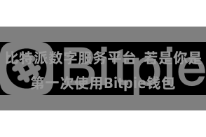 比特派数字服务平台  若是你是第一次使用Bitpie钱包