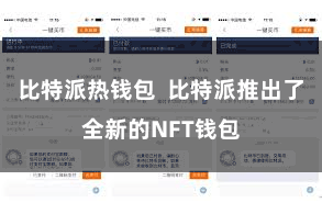 比特派热钱包  比特派推出了全新的NFT钱包